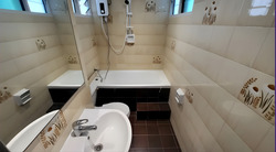 Dunearn Road (D11), Condominium #580071821